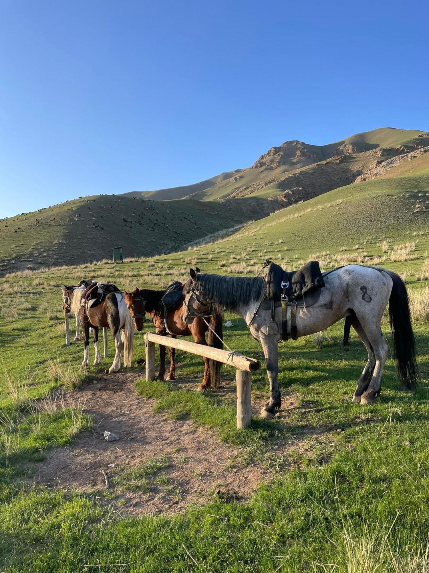 Guest House Bereke In Kyzart Village Bagysh المظهر الخارجي الصورة