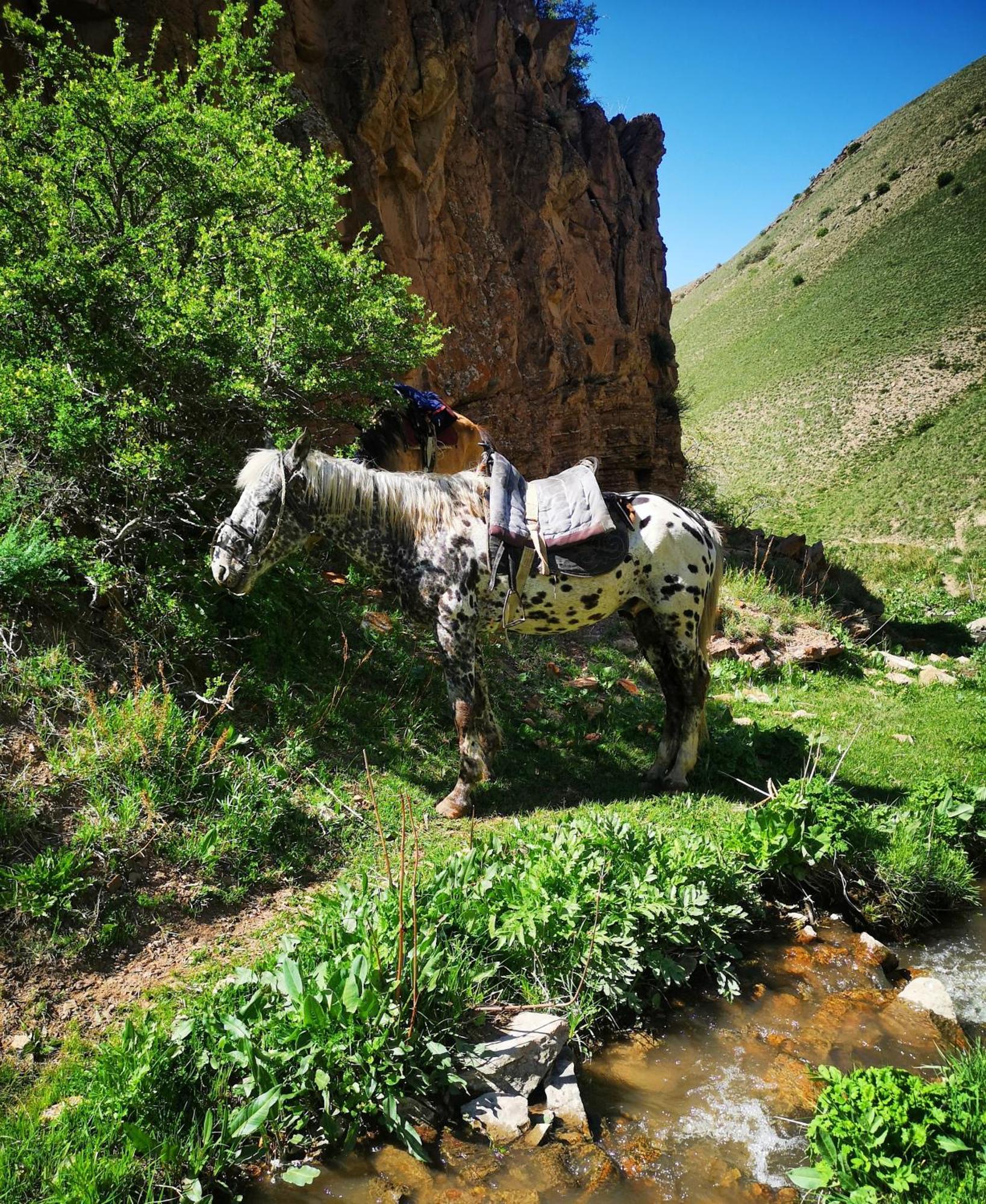 Guest House Bereke In Kyzart Village Bagysh المظهر الخارجي الصورة